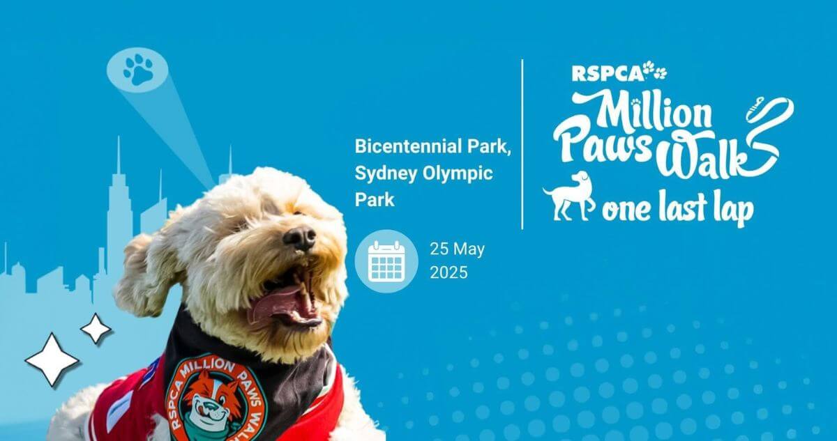 Million Paws Walk