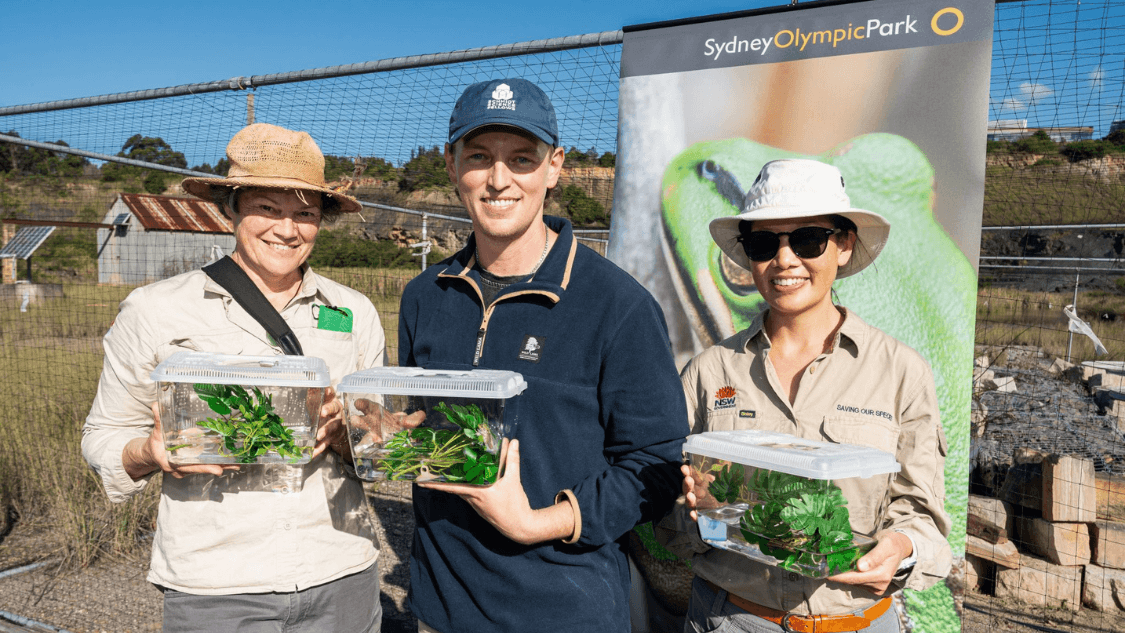 A leap for conservation