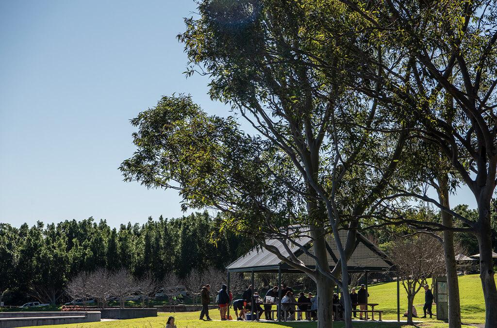 Lake Pavilion, Bicentennial park