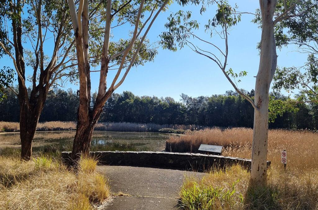 Tree Frog Pavilion, Wentworth Common