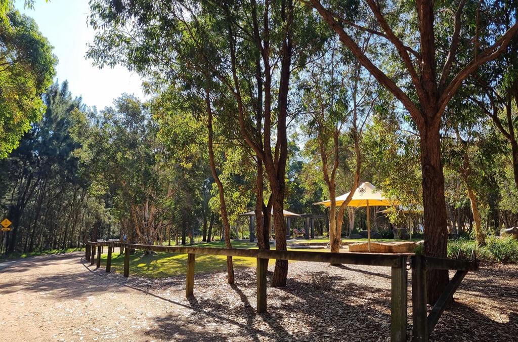 Tree Frog Pavilion, Wentworth Common