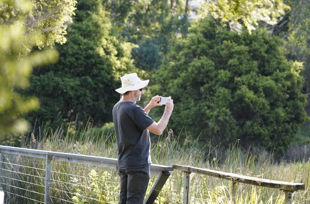 Person wearing a light-colored hat and dark clothing taking a photo on a wooden walkway surrounded by dense greenery and trees.