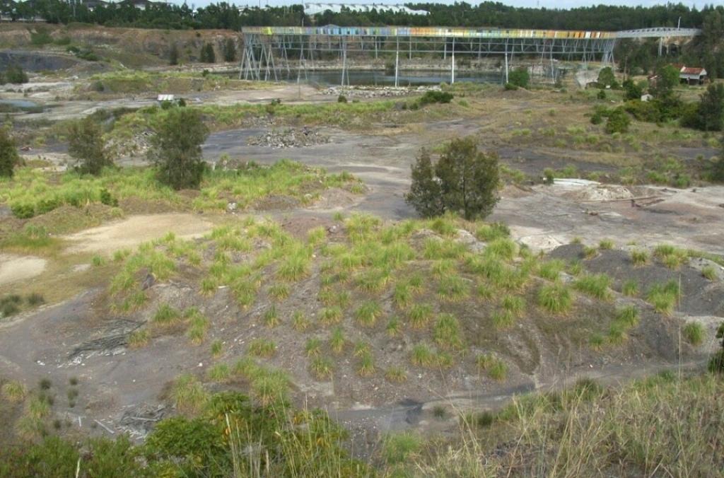 A wide view of the Brickpit shows exposed ground with scattered vegetation and shrubs.