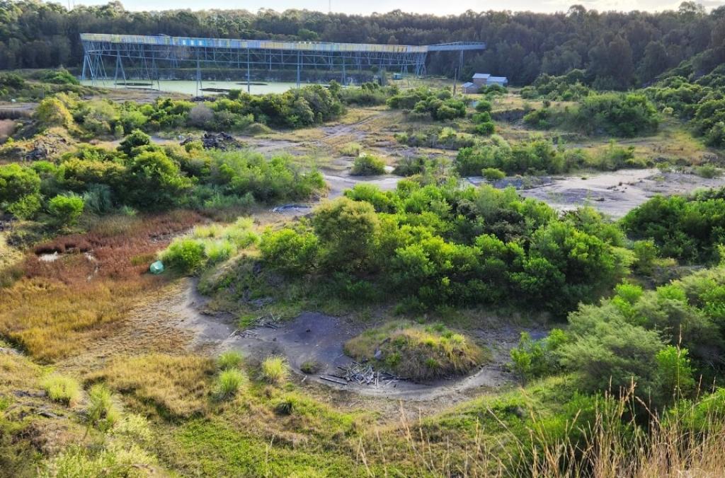 A wide view of the Brickpit shows regenerating native vegetation and open ground, with dense bushland.